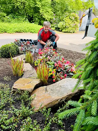 Eine Person pflanzt bunte Blumen in ein Beet mit Steinen, umgeben von grünen Sträuchern und Bäumen.